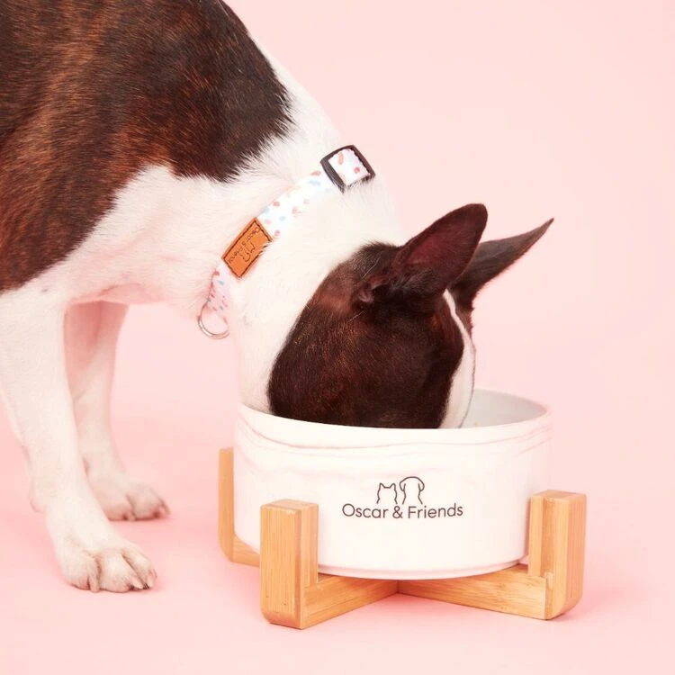 Oscar & Friends The Lead Small Confetti Small 1 Oscar & Friends The Lead Small Confetti Small