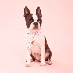 Oscar & Friends The Bandana Small Confetti Small